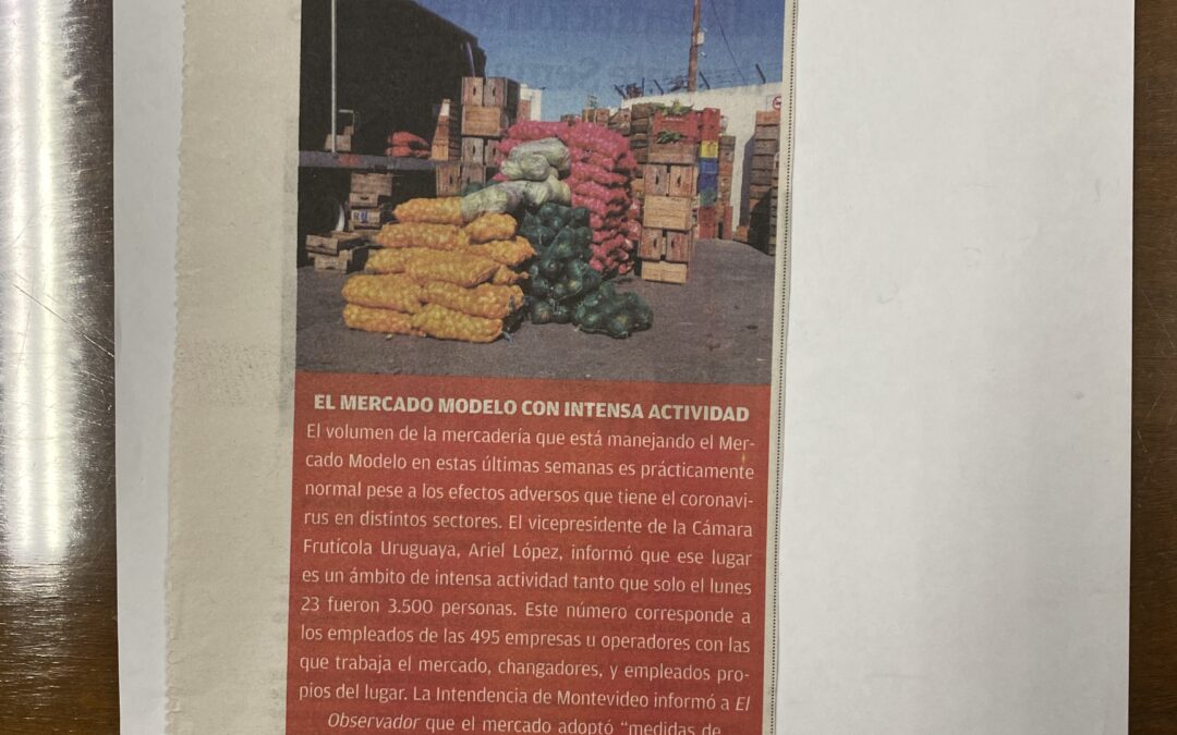 Diario El Observador, Montevideo. 2020/03/31. «Siguen yendo miles».