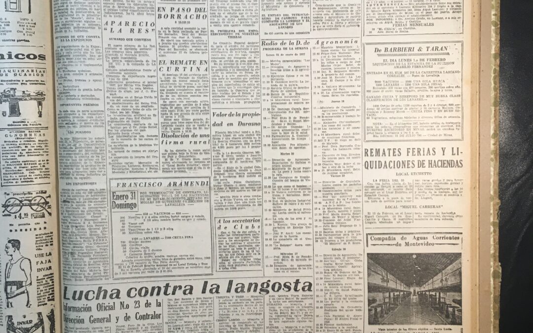 Diario El Debate, Montevideo. 1937/01/25. «Contara con una concurrencia extraordinario la Exposicion N. de Agricultura»