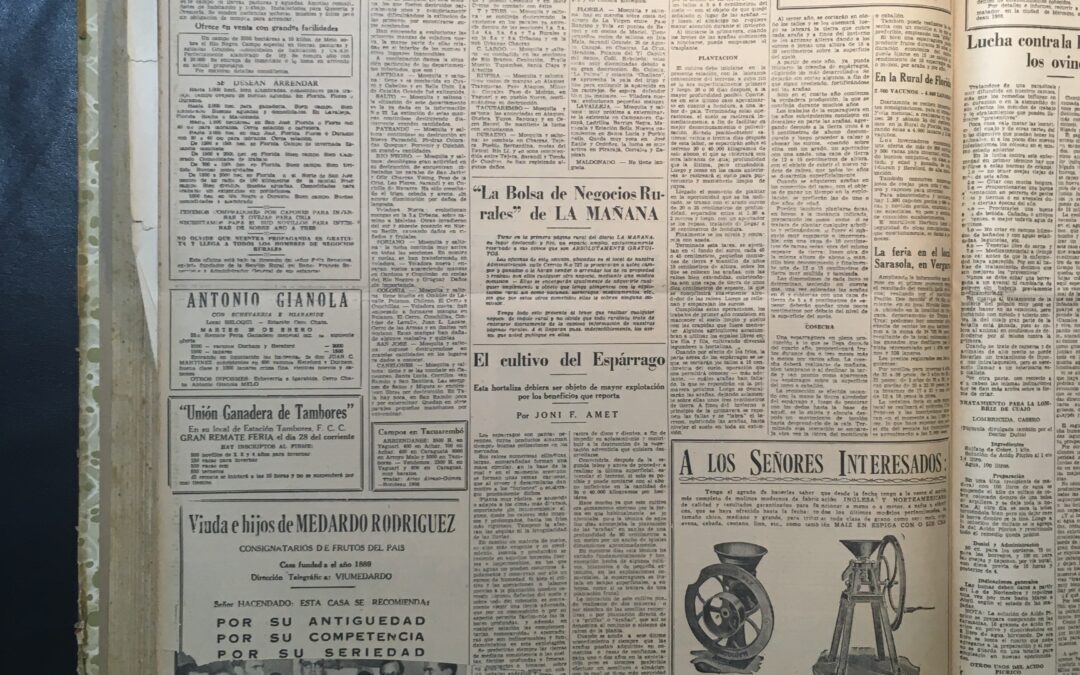 Diario La Mañana, Montevideo. 1937/01/25. «LA GRAN EXPOSICION NACIONAL DE AGRICULTURA»